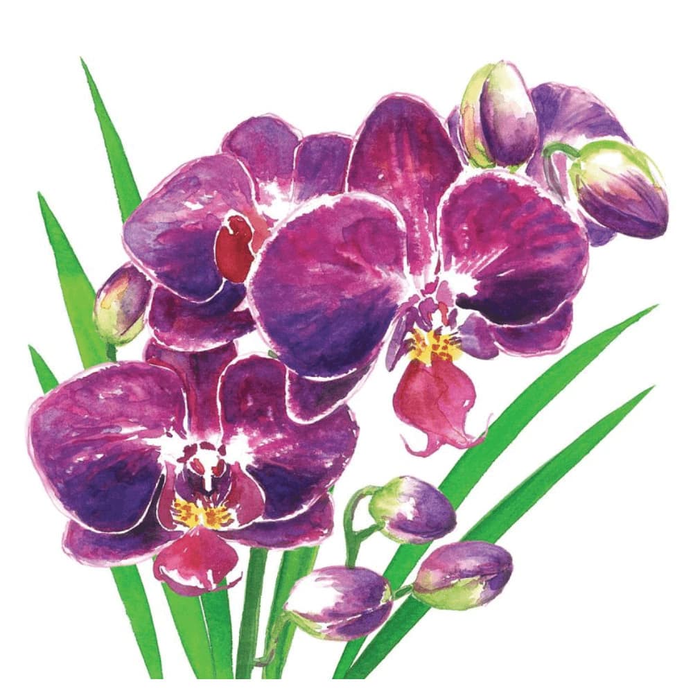 Guardanapo de Papel Orchidea 33cm 20pçs