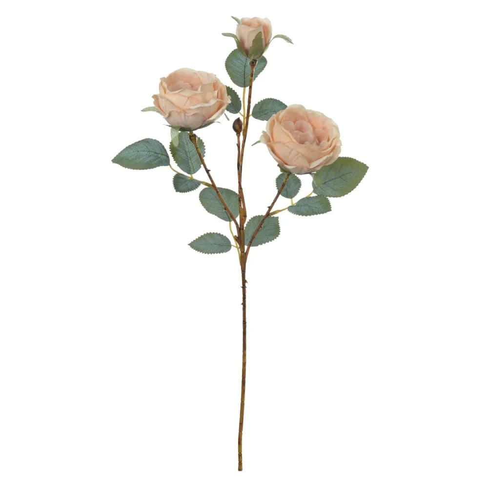 Haste Rosa Cabbage 52cm Creme Outono - Florarte
